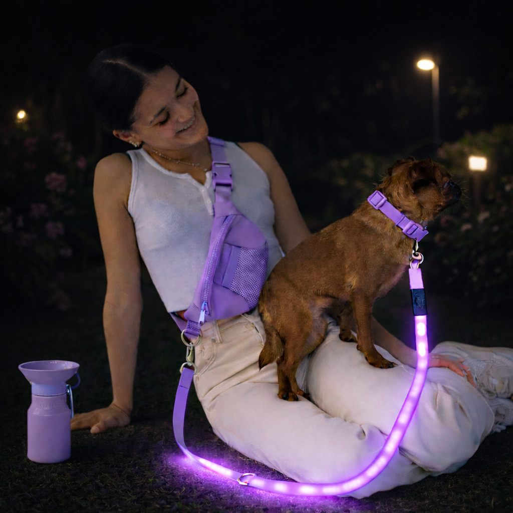 LED Dog Safety Leash