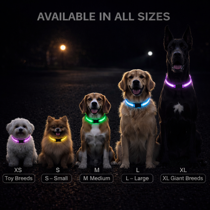 LED Dog Safety Collar