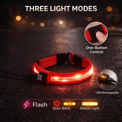 LED Dog Safety Collar