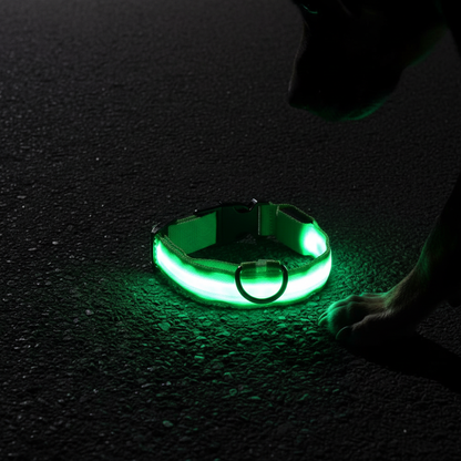LED Dog Safety Collar