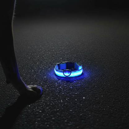 LED Dog Safety Collar
