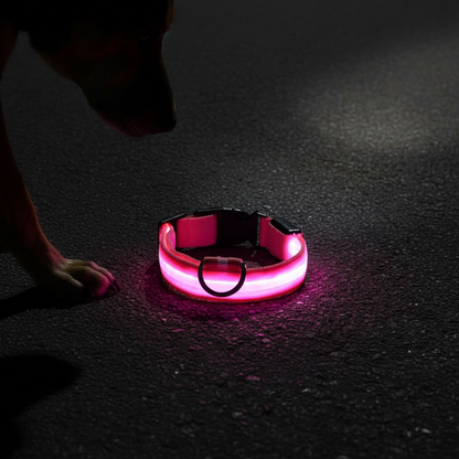 LED Dog Safety Collar