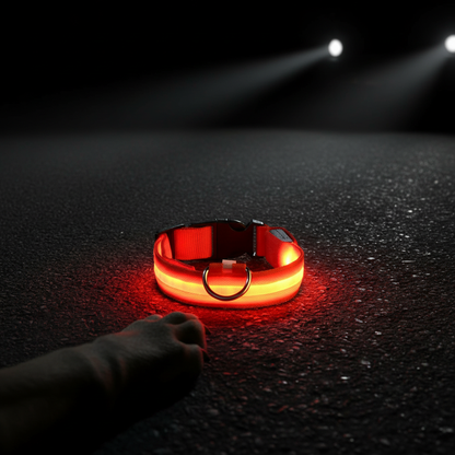 LED Dog Safety Collar