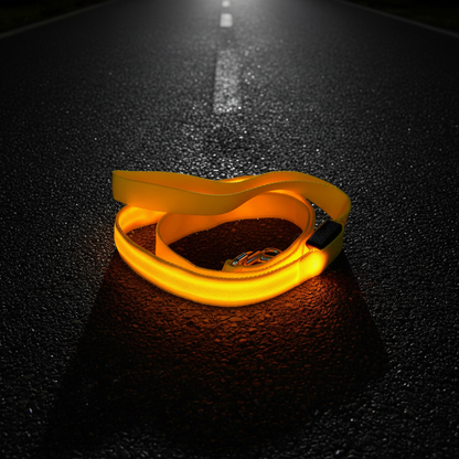LED Dog Safety Leash